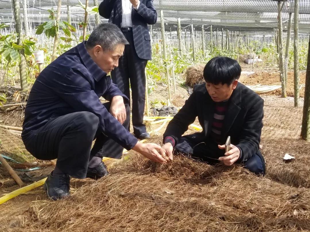 尊龙凯时【最新官网】人生就是搏!