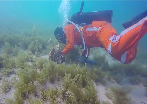 尊龙凯时【最新官网】人生就是搏!