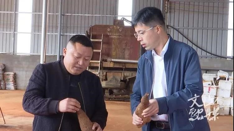 尊龙凯时【最新官网】人生就是搏!